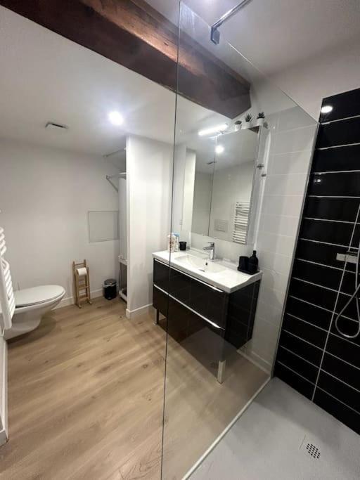 Apartmán Cocon Chaleureux Au Coeur De Mirepoix Mirepoix  Exteriér fotografie
