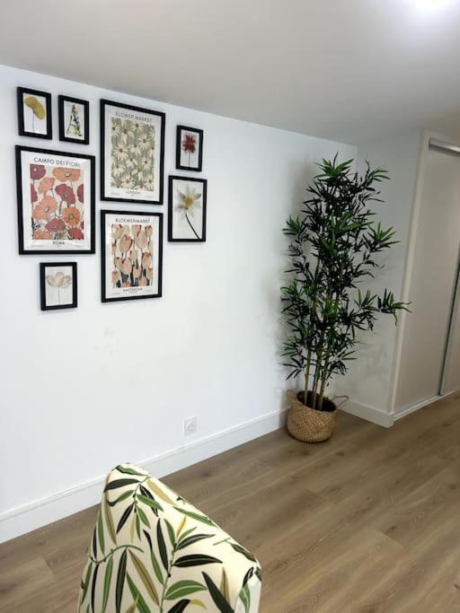 Apartmán Cocon Chaleureux Au Coeur De Mirepoix Mirepoix  Exteriér fotografie